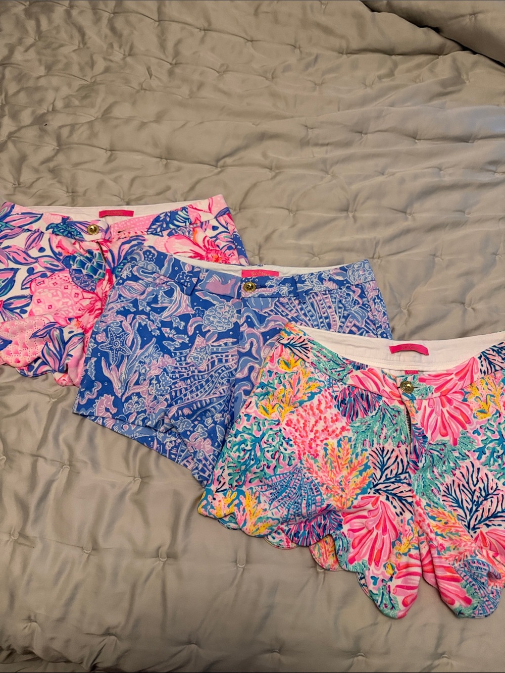 Women's Scallop Hem Printed Shorts - Pink, Blue, Coral